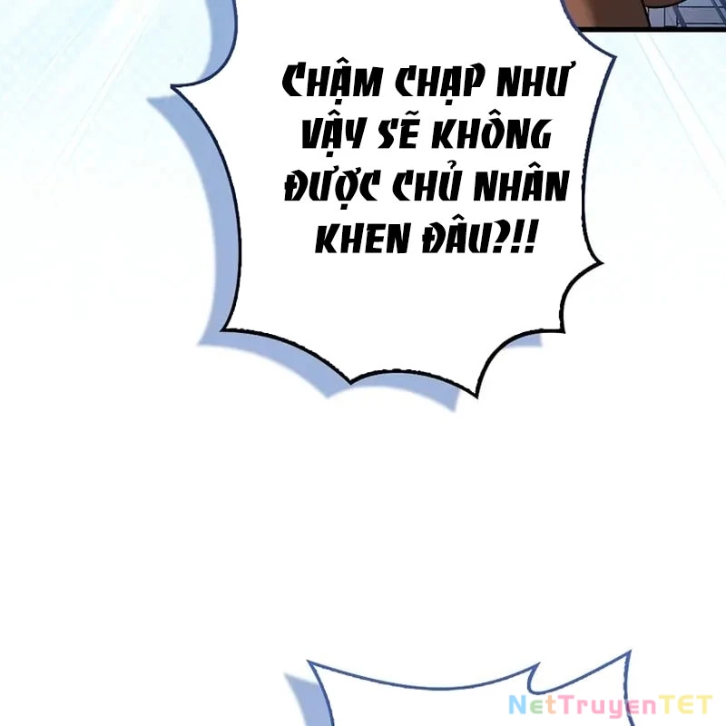 Thiên Tài Võ Thuật Hồi Quy Chapter 79 - Trang 2