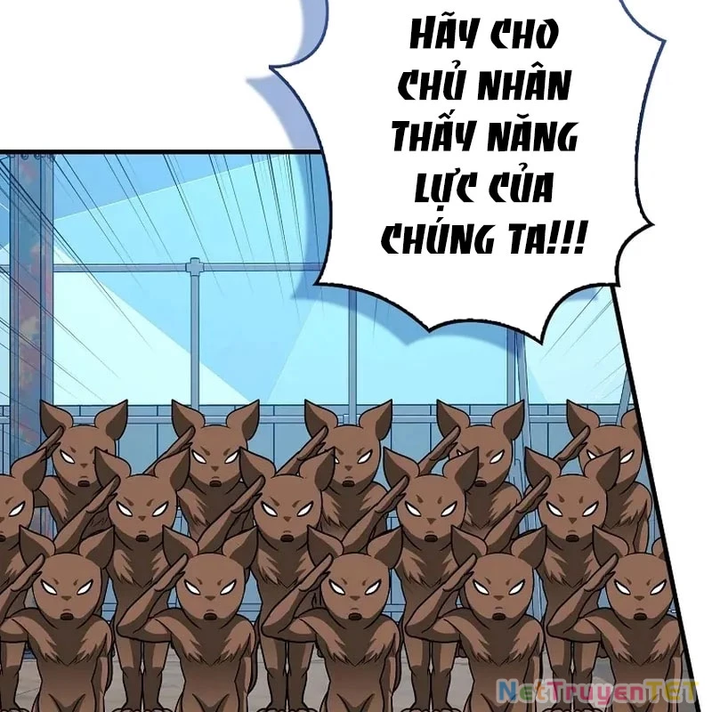 Thiên Tài Võ Thuật Hồi Quy Chapter 79 - Trang 2