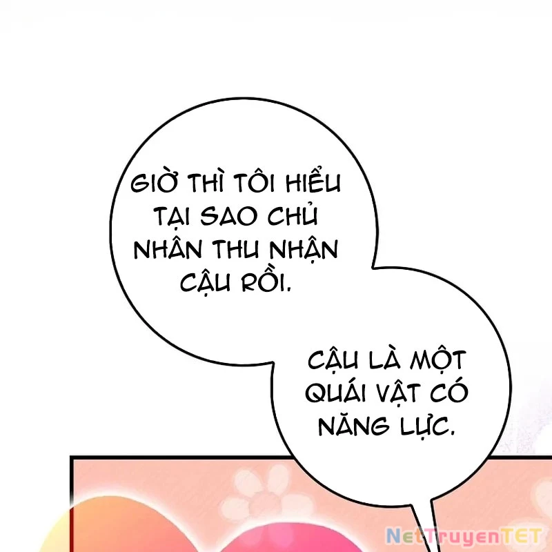 Thiên Tài Võ Thuật Hồi Quy Chapter 79 - Trang 2