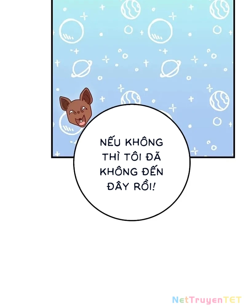 Thiên Tài Võ Thuật Hồi Quy Chapter 80 - Trang 2