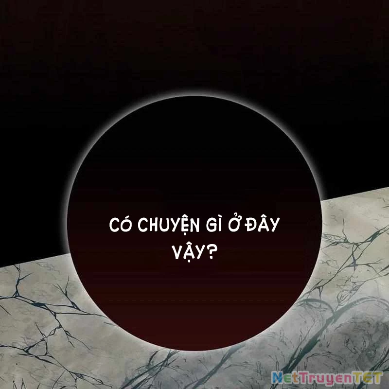 Thiên Tài Võ Thuật Hồi Quy Chapter 81 - Trang 2