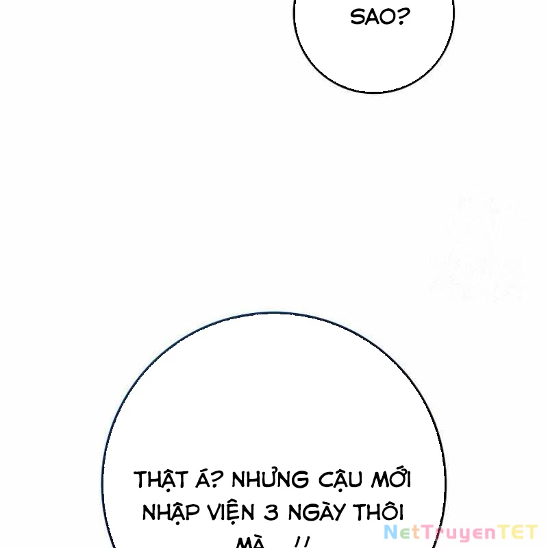 Thiên Tài Võ Thuật Hồi Quy Chapter 81 - Trang 2