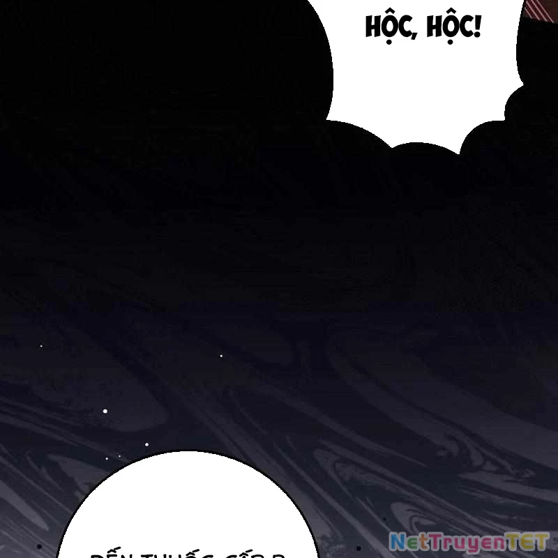 Thiên Tài Võ Thuật Hồi Quy Chapter 81 - Trang 2