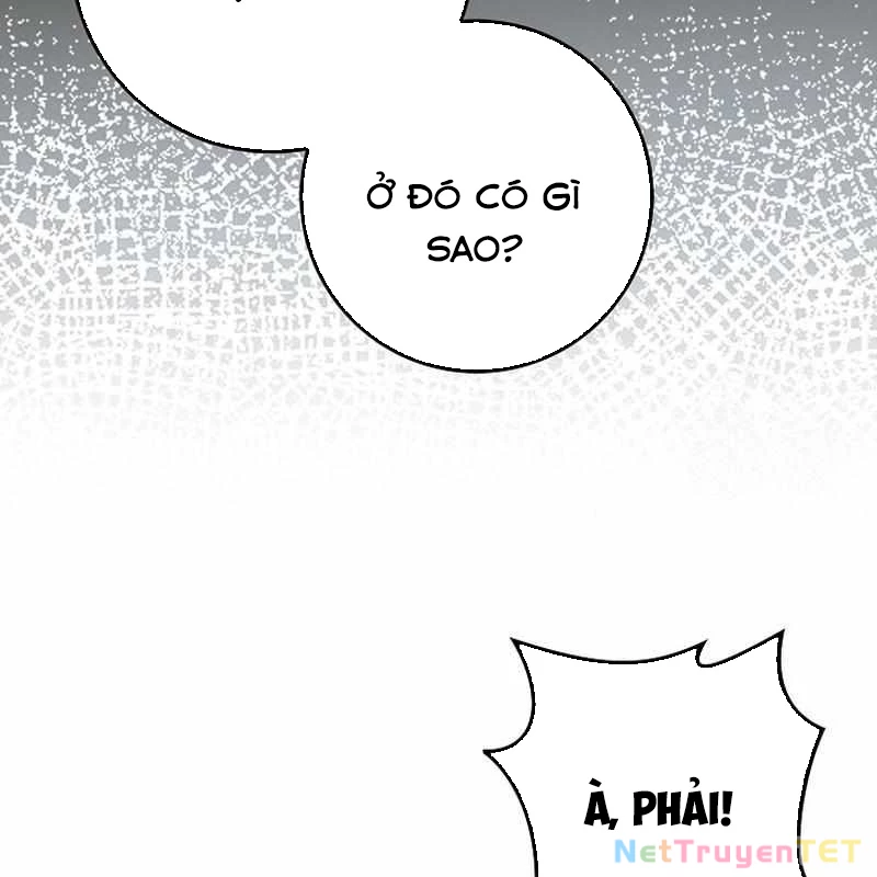 Thiên Tài Võ Thuật Hồi Quy Chapter 81 - Trang 2