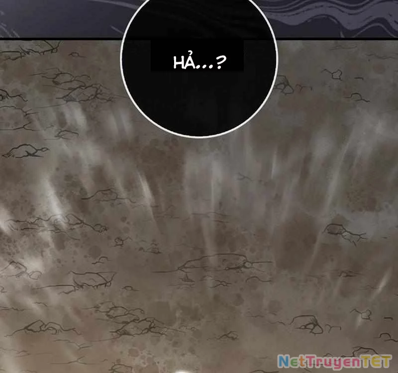 Thiên Tài Võ Thuật Hồi Quy Chapter 81 - Trang 2