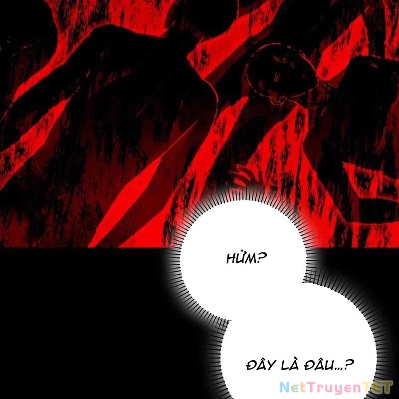 Thiên Tài Võ Thuật Hồi Quy Chapter 81 - Trang 2