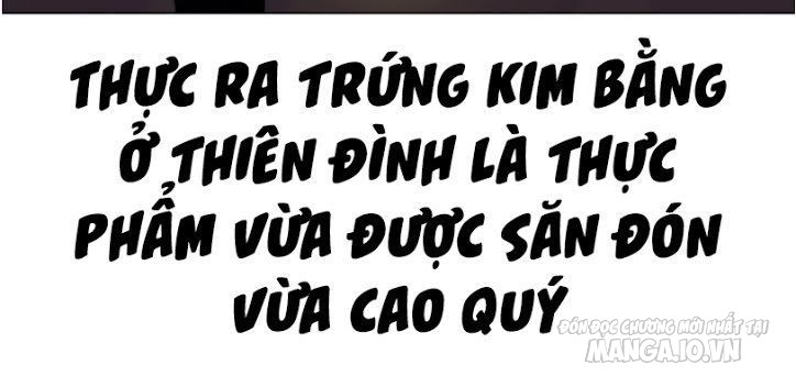 Thiên Thần Shipper Chapter 10 - Trang 2