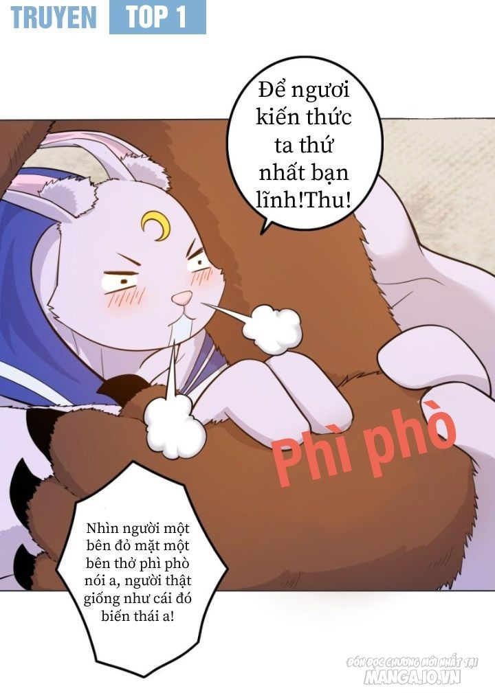 Thiên Thần Shipper Chapter 18 - Trang 2