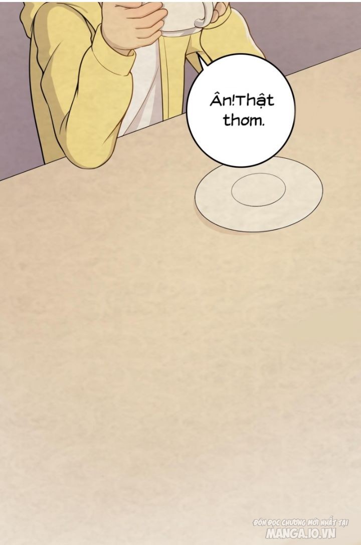 Thiên Thần Shipper Chapter 19 - Trang 2