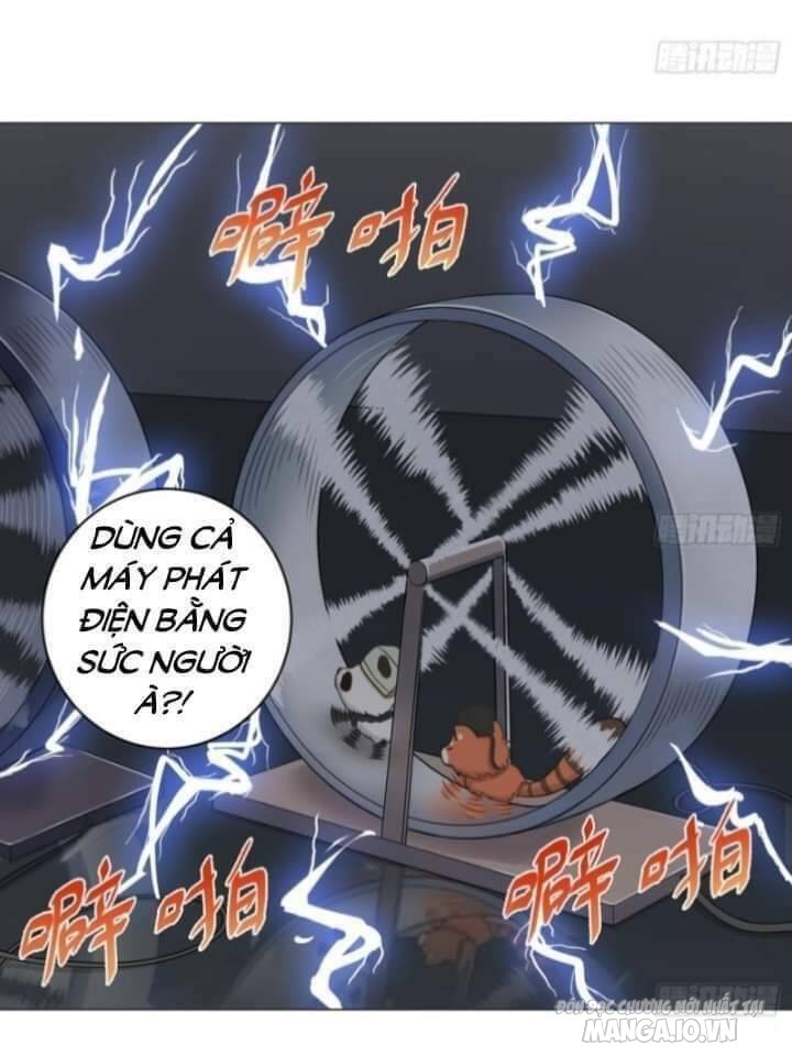Thiên Thần Shipper Chapter 33 - Trang 2