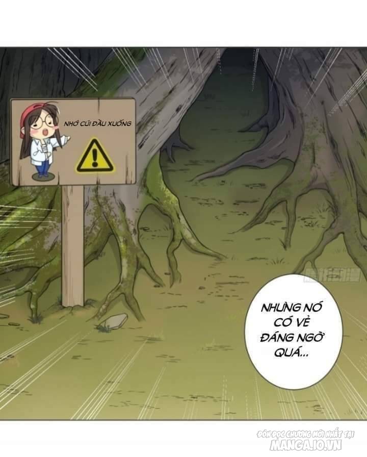 Thiên Thần Shipper Chapter 34 - Trang 2