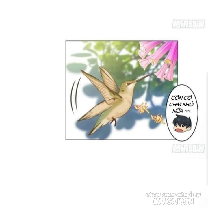 Thiên Thần Shipper Chapter 34 - Trang 2