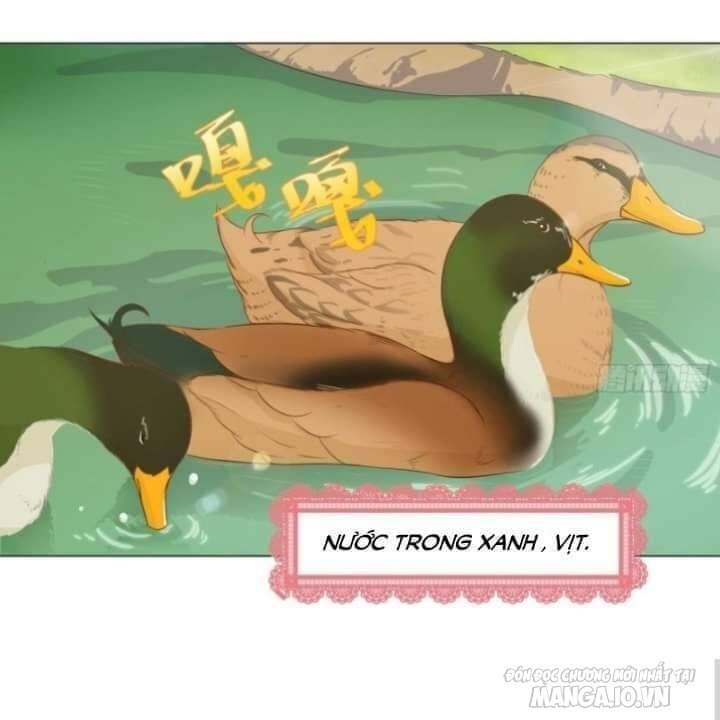 Thiên Thần Shipper Chapter 34 - Trang 2