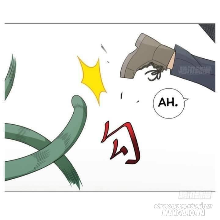 Thiên Thần Shipper Chapter 35 - Trang 2