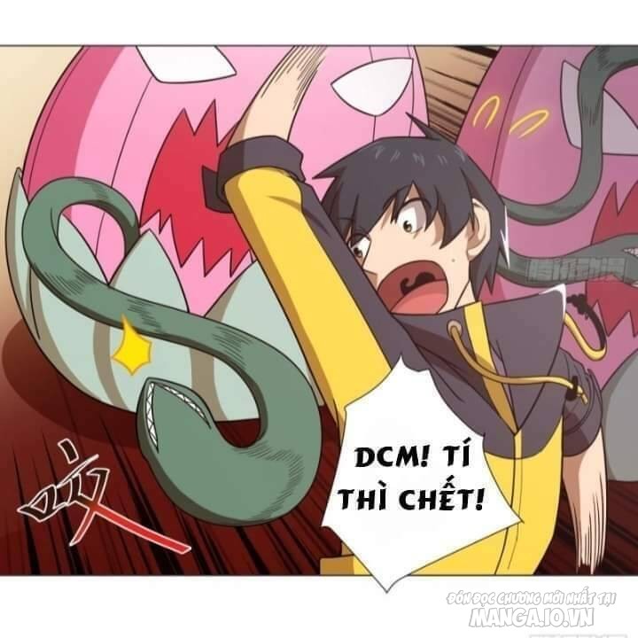 Thiên Thần Shipper Chapter 35 - Trang 2