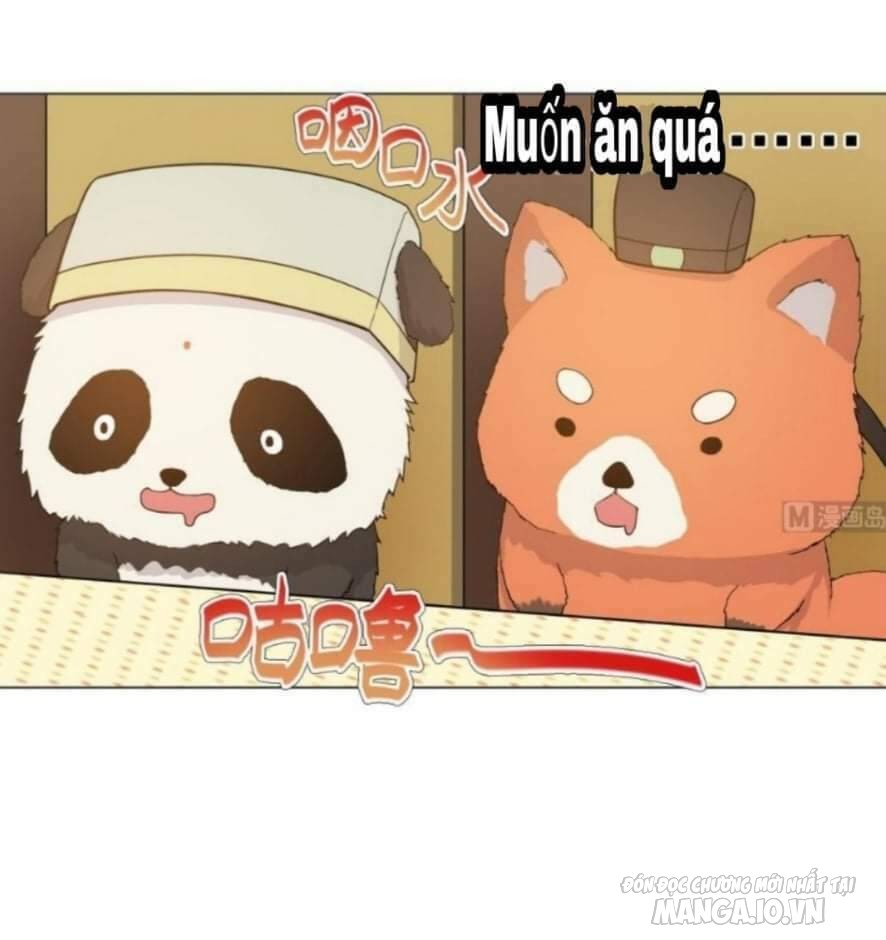 Thiên Thần Shipper Chapter 38 - Trang 2