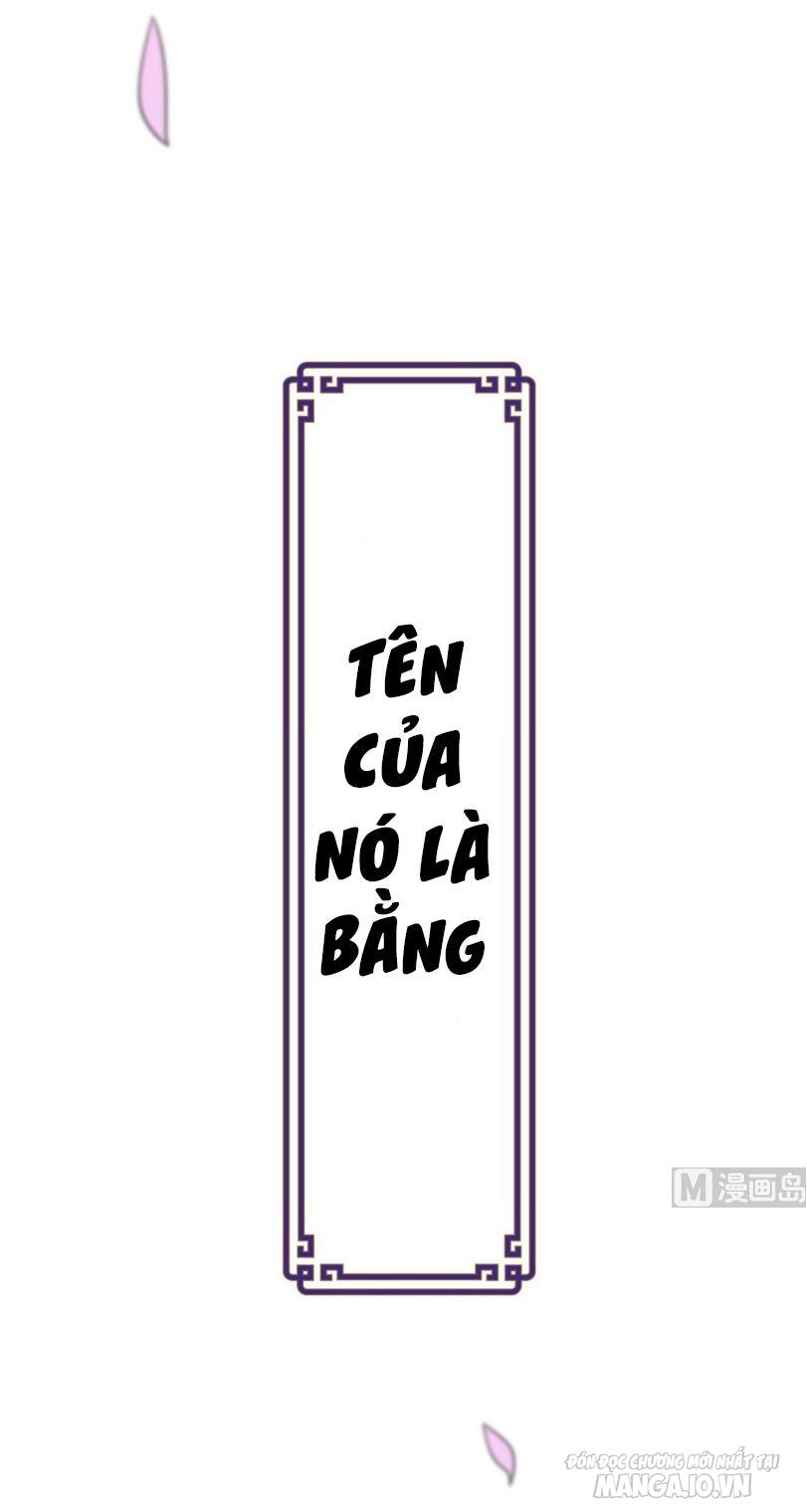 Thiên Thần Shipper Chapter 8 - Trang 2