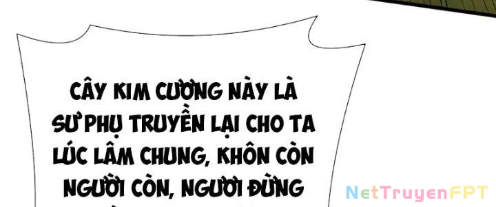 Thiên Tôn Trở Về Chapter 11 - Trang 2