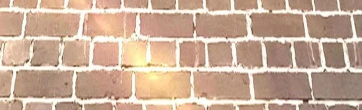 Thiên Tôn Trở Về Chapter 26 - Trang 2