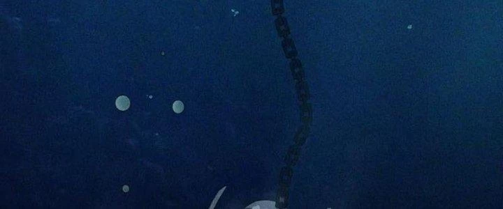 Thiên Tôn Trở Về Chapter 7 - Trang 2