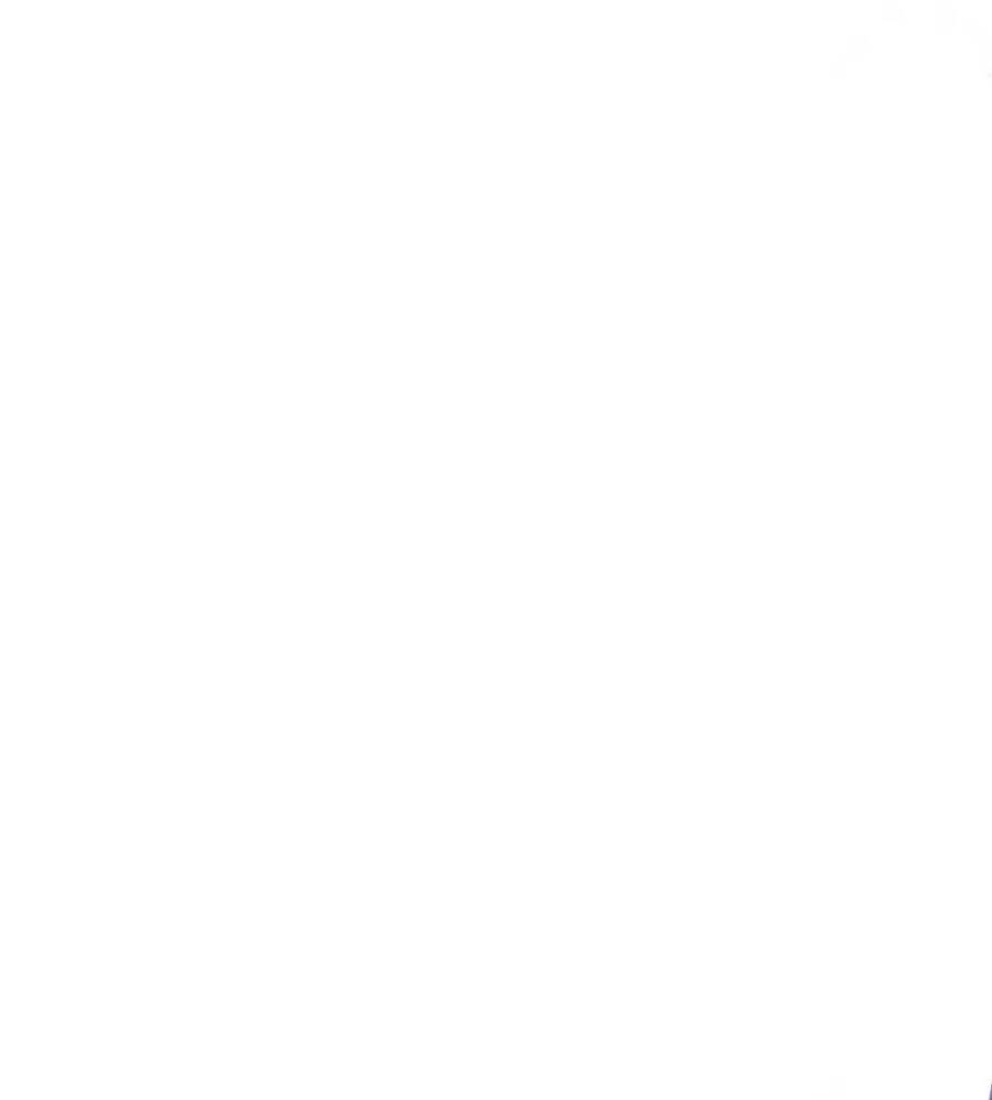 Thiết Lập Ác Nữ Của Tôi Sụp Đổ Rồi Chapter 13 - Trang 2