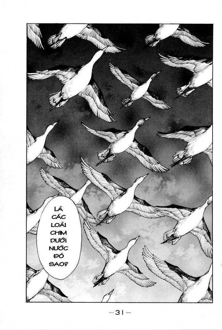 Thiếu Niên Vương Phần 2 Chapter 13 - Trang 2