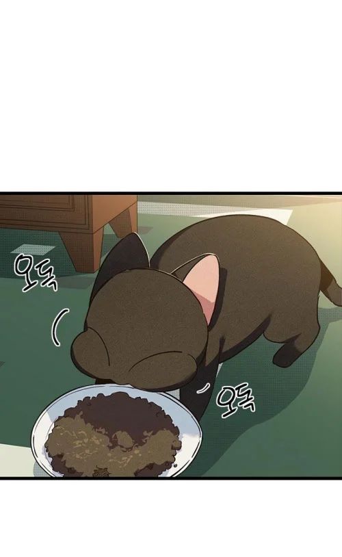 Thiếu Nữ Hoàng Đạo Chapter 13 - Trang 2