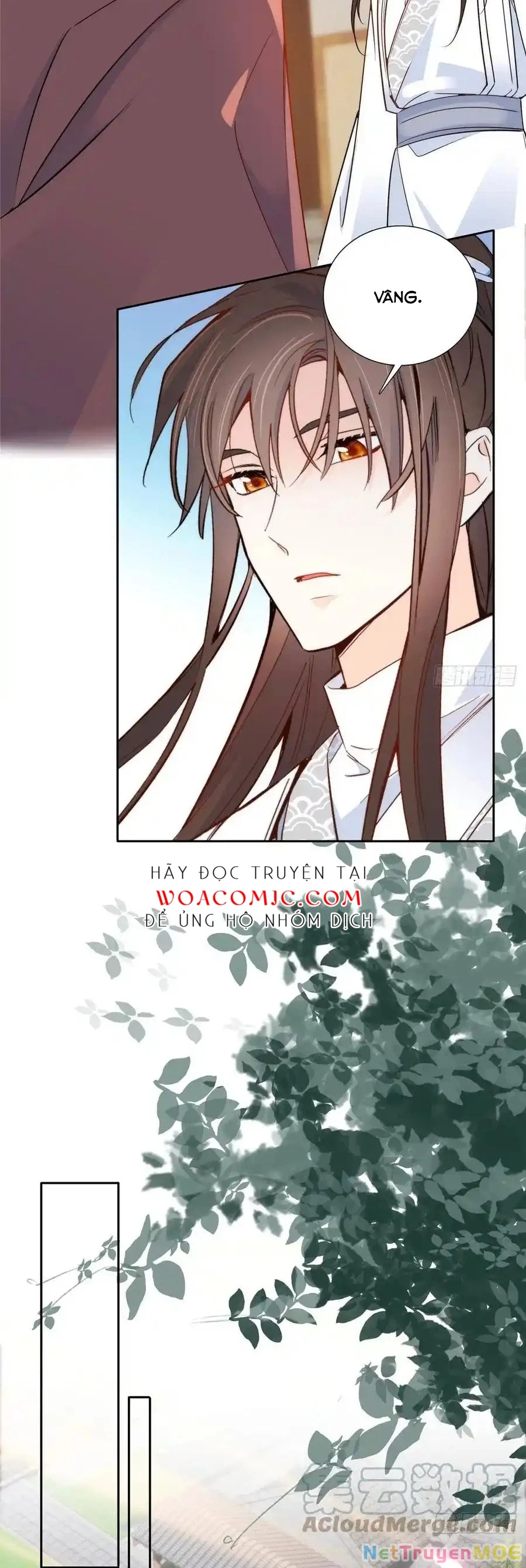 Thiều Quang Mạn Chapter 141 - Trang 2