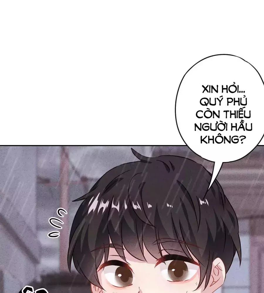 Thiếu Soái, Vợ Anh Muốn Lật Trời! Chapter 13 - Trang 2