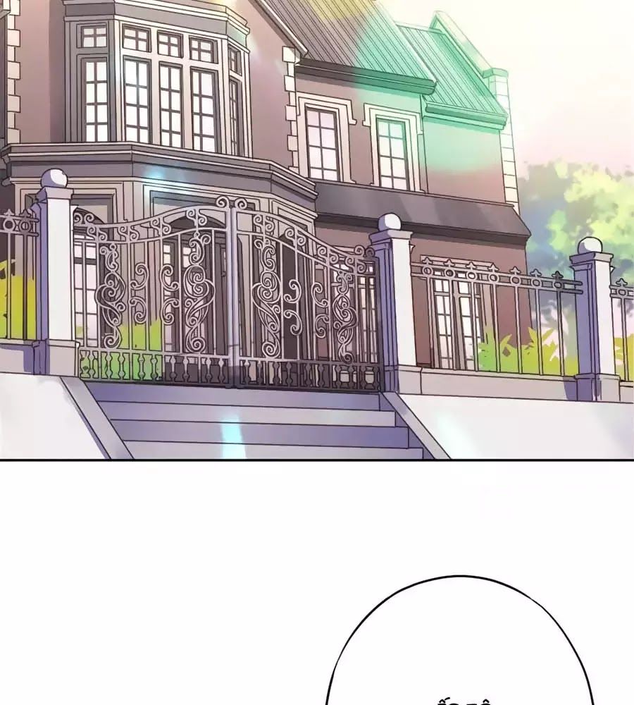 Thiếu Soái, Vợ Anh Muốn Lật Trời! Chapter 24 - Trang 2