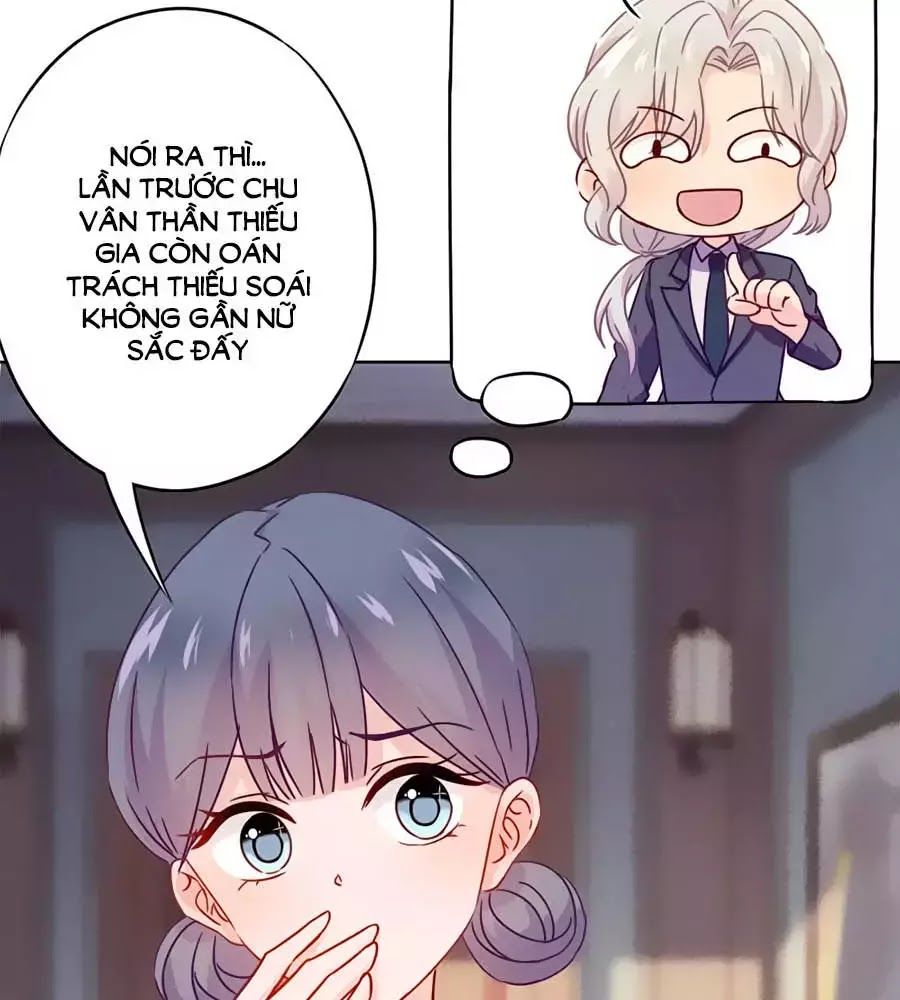Thiếu Soái, Vợ Anh Muốn Lật Trời! Chapter 24 - Trang 2