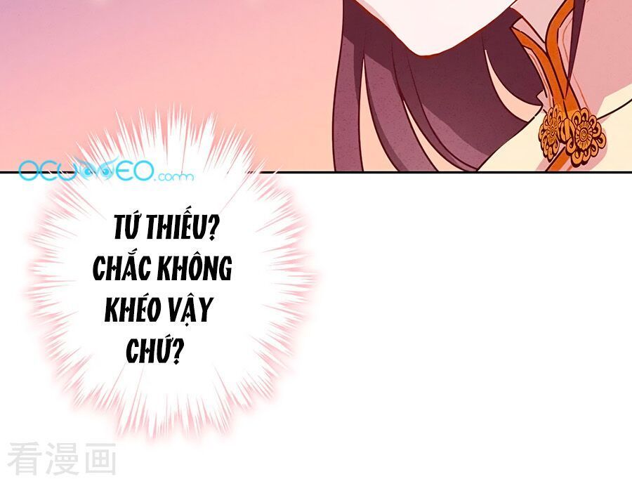 Thiếu Soái, Vợ Anh Muốn Lật Trời! Chapter 4 - Trang 2