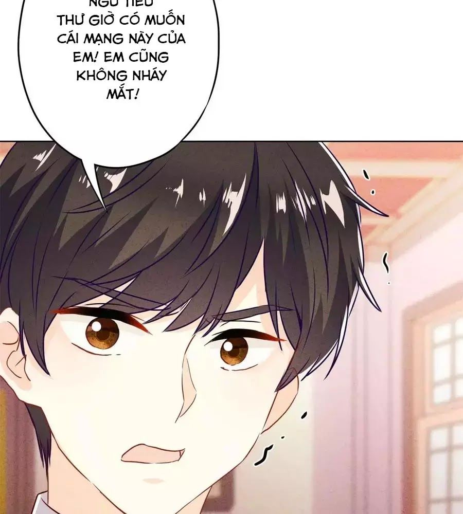 Thiếu Soái, Vợ Anh Muốn Lật Trời! Chapter 42 - Trang 2