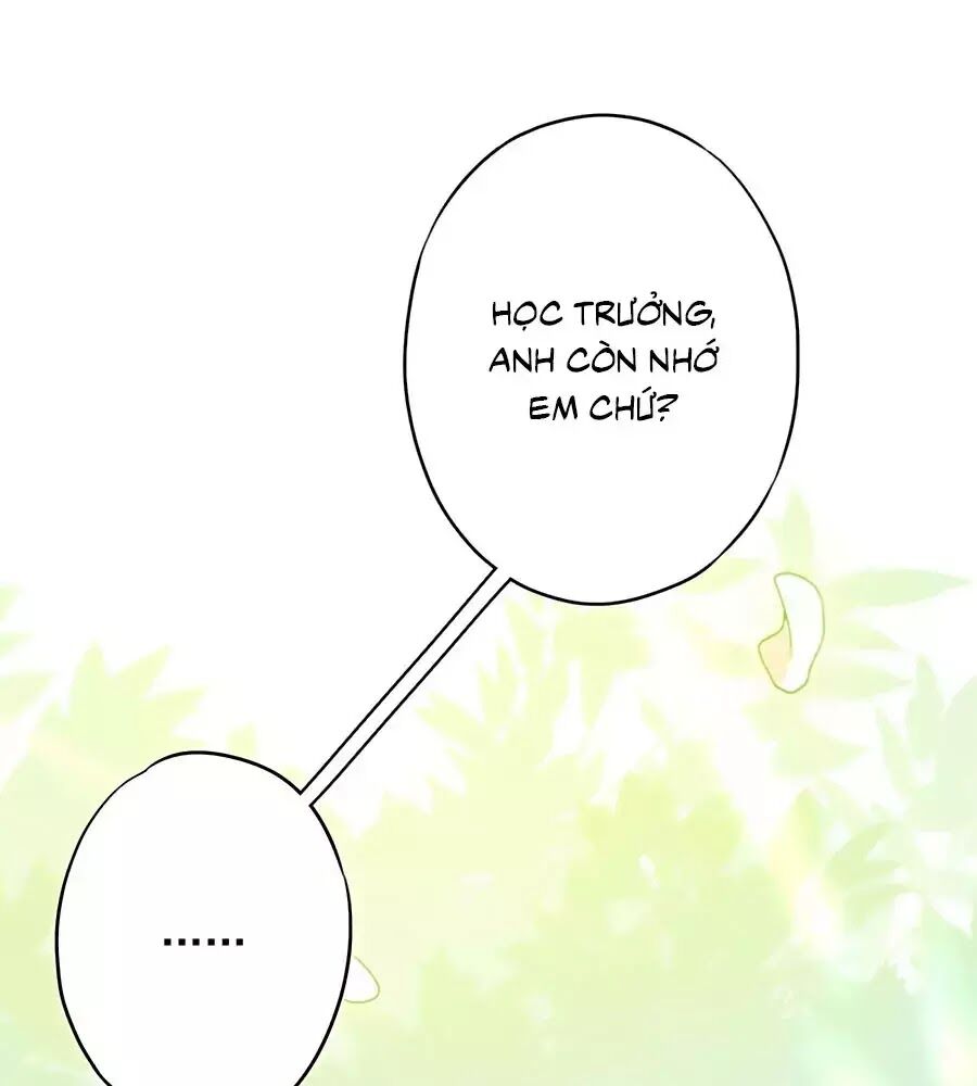 Thiếu Soái, Vợ Anh Muốn Lật Trời! Chapter 47 - Trang 2