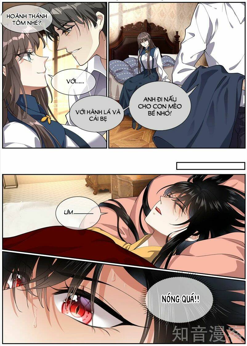 Thiếu Soái! Vợ Ngài Lại Bỏ Trốn Chapter 276 - Trang 2