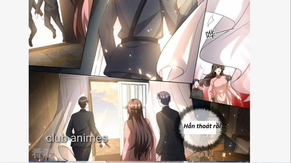 Thiếu Soái! Vợ Ngài Lại Bỏ Trốn Chapter 334 - Trang 2