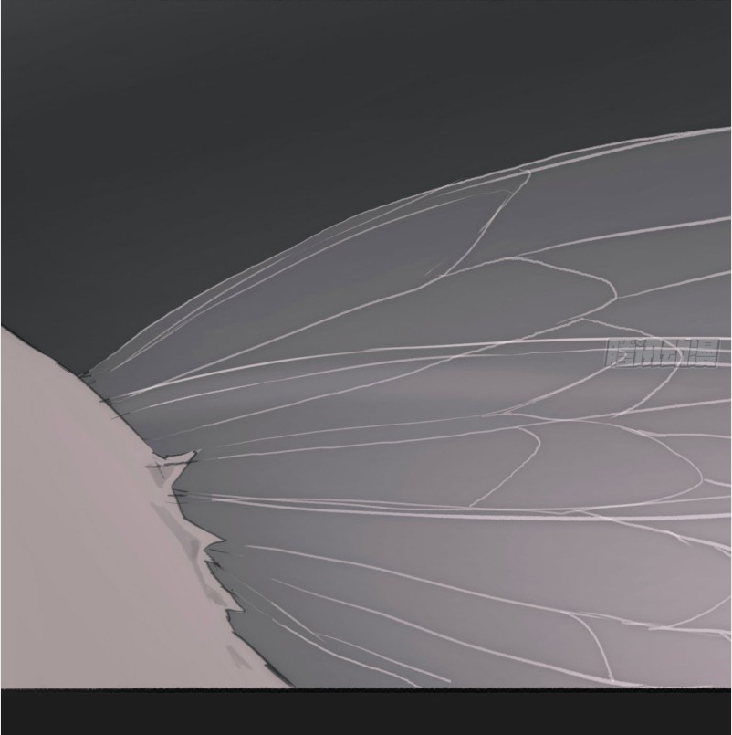 Thỉnh Cùng Ta Đồng Miên-Xin Hãy Ngủ Cùng Ta Chapter 2 - Trang 2