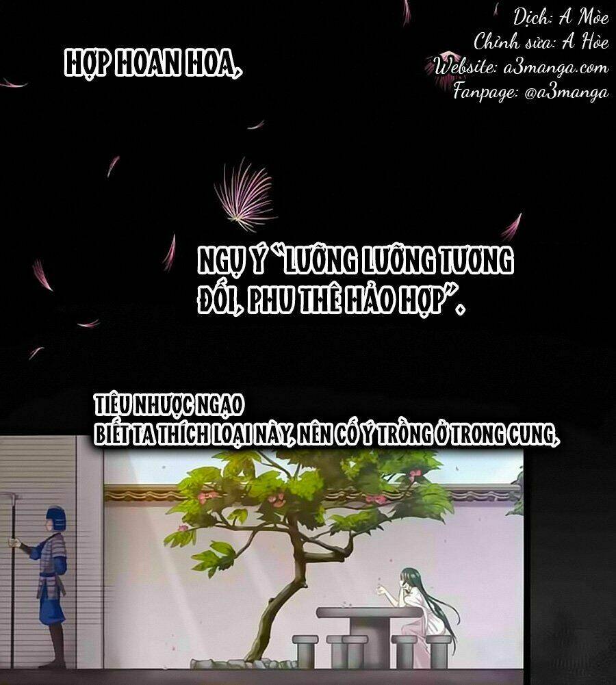 Thịnh Thế Đế Vương Phi Chapter 3 - Trang 2