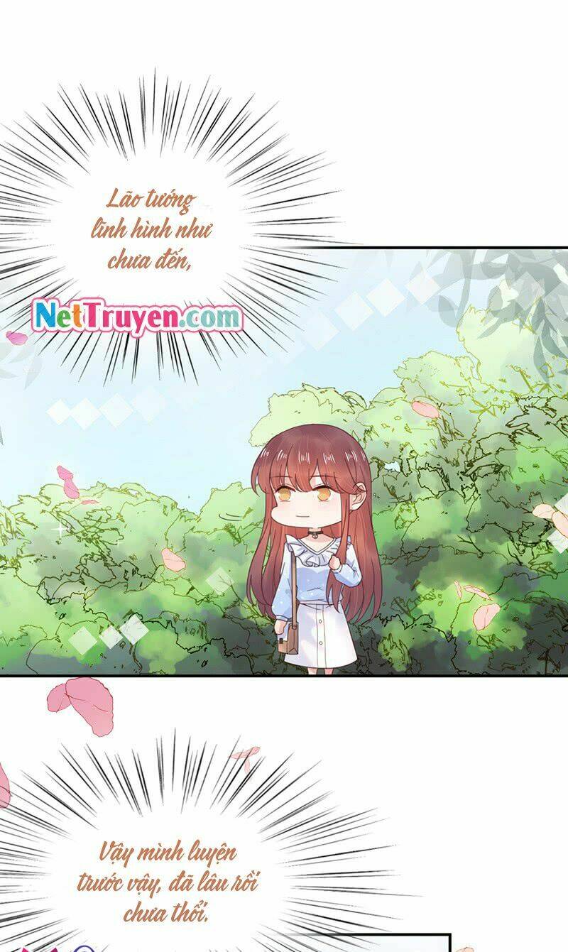 Thịnh Thế Điềm Sủng: Cô Vợ Nhỏ Đáng Yêu Của Dịch Thiếu Chapter 14 - Trang 2