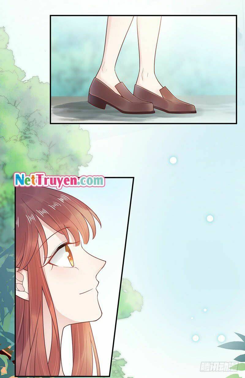 Thịnh Thế Điềm Sủng: Cô Vợ Nhỏ Đáng Yêu Của Dịch Thiếu Chapter 14 - Trang 2