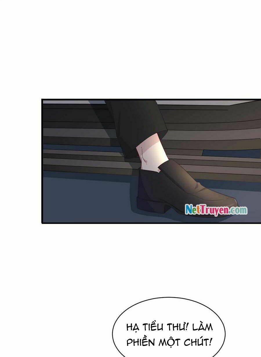 Thịnh Thế Điềm Sủng: Cô Vợ Nhỏ Đáng Yêu Của Dịch Thiếu Chapter 3 - Trang 2