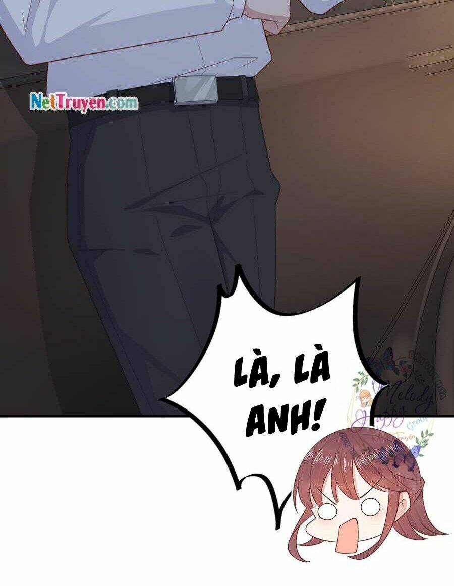 Thịnh Thế Điềm Sủng: Cô Vợ Nhỏ Đáng Yêu Của Dịch Thiếu Chapter 3 - Trang 2