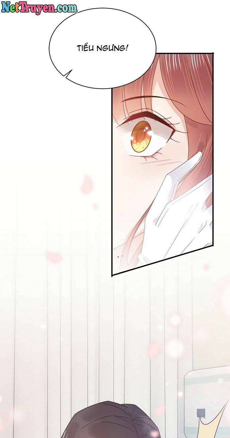 Thịnh Thế Điềm Sủng: Cô Vợ Nhỏ Đáng Yêu Của Dịch Thiếu Chapter 36 - Trang 2