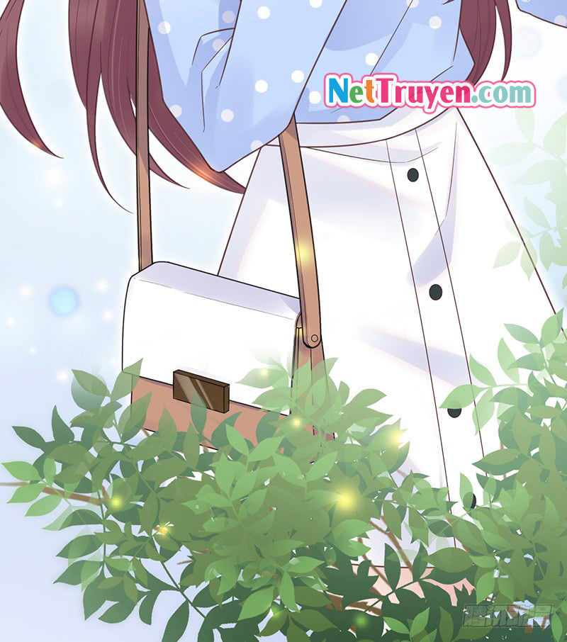 Thịnh Thế Điềm Sủng: Tiểu Manh Thê Của Dịch Thiếu Chapter 14 - Trang 2