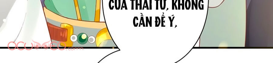 Thịnh Thế Lê Hoa Điện Chapter 22 - Trang 2