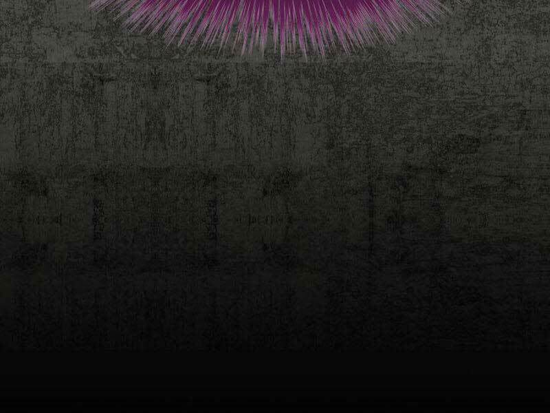 Thợ Rèn Huyền Thoại Chapter 162 - Trang 2