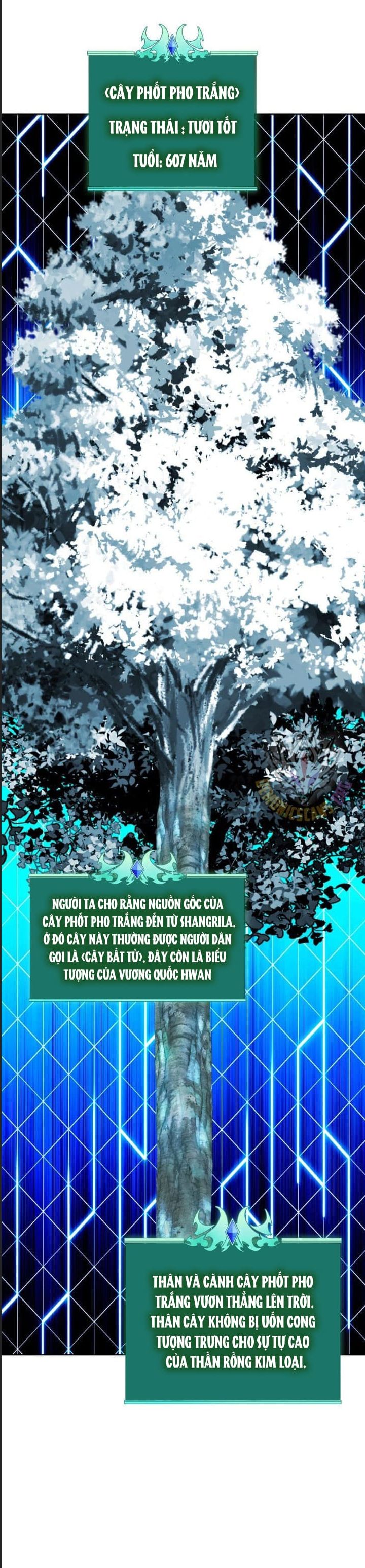 Thợ Rèn Huyền Thoại Chapter 253 - Trang 2