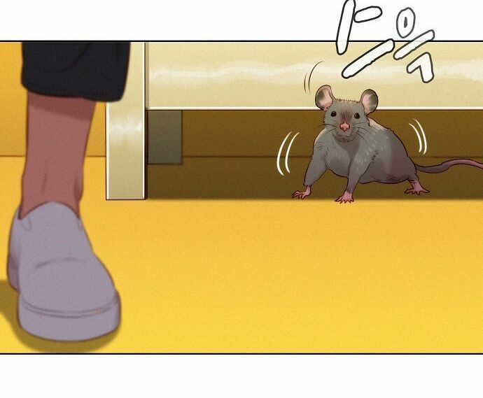 Thợ Săn 3 CM Chapter 1 - Trang 2