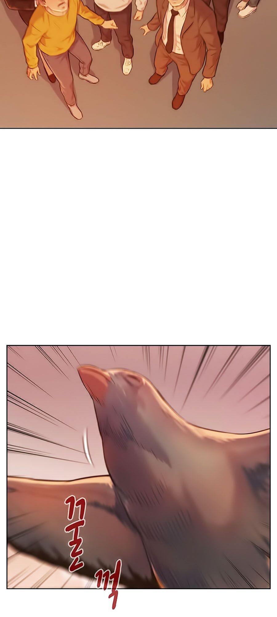 Thợ Săn 3 CM Chapter 11 - Trang 2