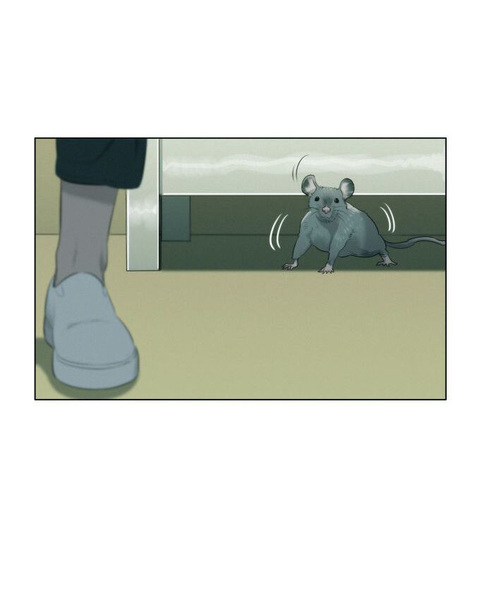 Thợ Săn 3 CM Chapter 2 - Trang 2